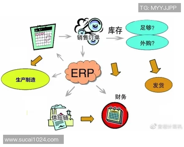 上海排球队的转型之路与未来发展趋势深度解析 上海排球队的转型之路与未来发展趋势深度解析