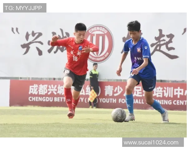 成都足球队在锦标赛中的表现分析与状态评估 成都足球队在锦标赛中的表现分析与状态评估