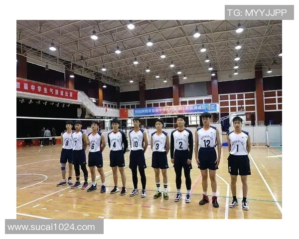 西安排球队的战术布局与决赛表现深度分析