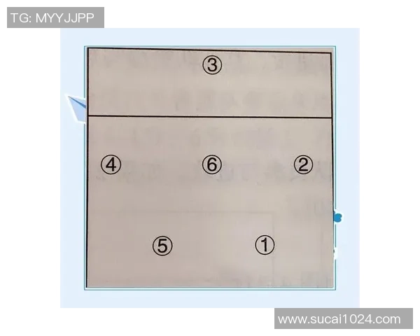 上海排球队反击体系解析：战术布局与执行的完美结合