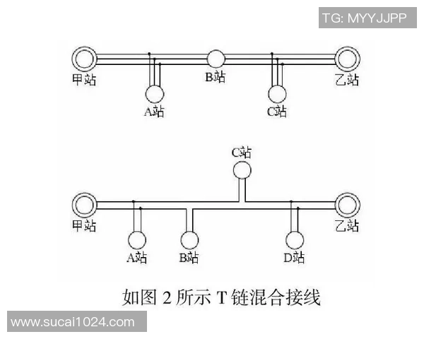 南京网球队灵活性分析与提升策略探讨 南京网球队灵活性分析与提升策略探讨